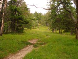 2013-08-25_Risserkogel (024).JPG